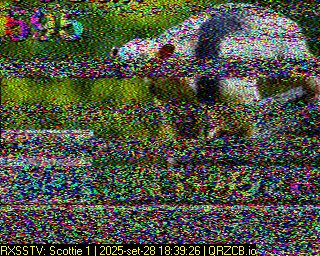 SSTV Image