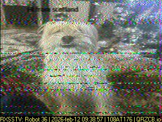 SSTV Image