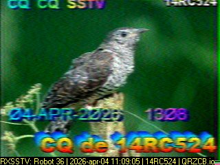 SSTV Image