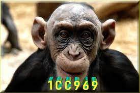 1CC969